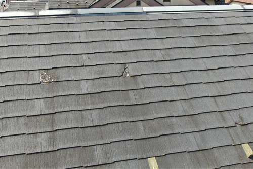 屋根材の劣化・損傷5